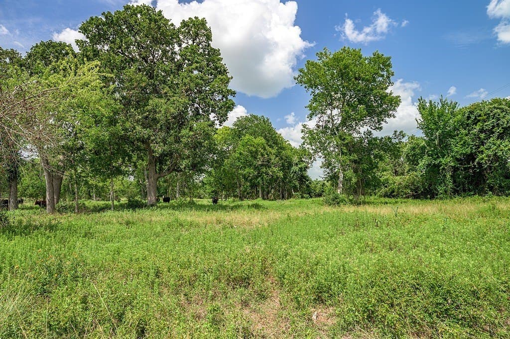 7 acres in Fayette County - photo 14