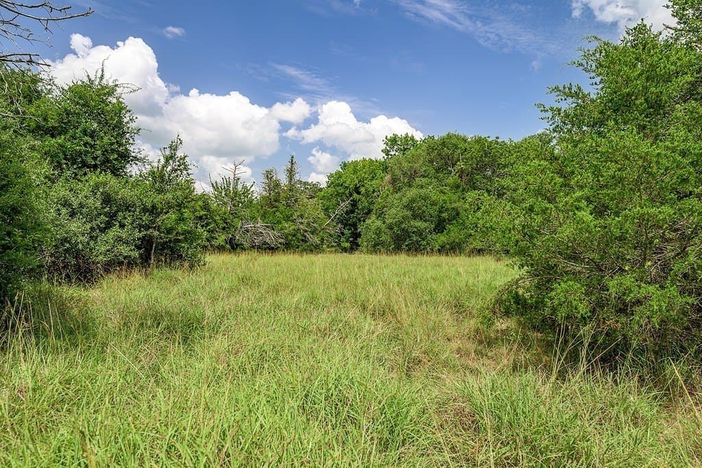 7 acres in Fayette County - photo 11