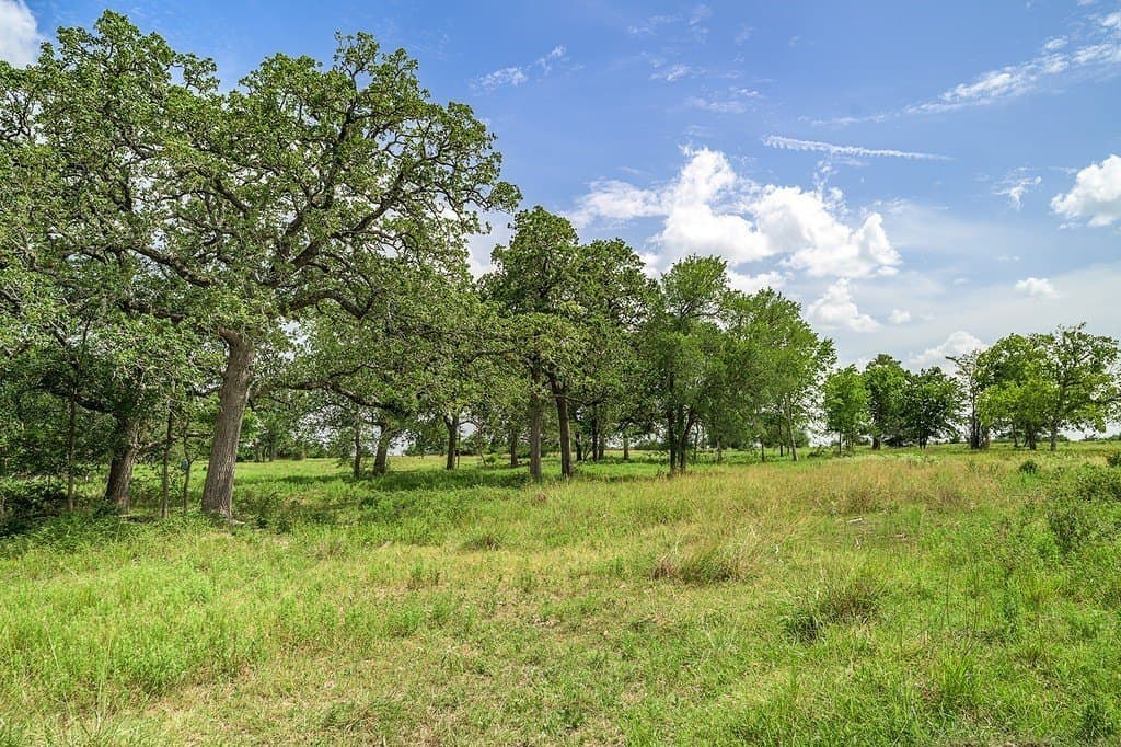 7 acres in Fayette County - photo 6