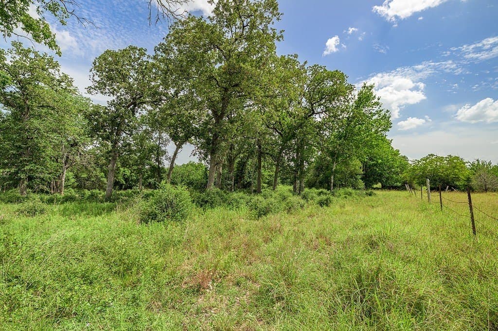 7 acres in Fayette County - photo 8