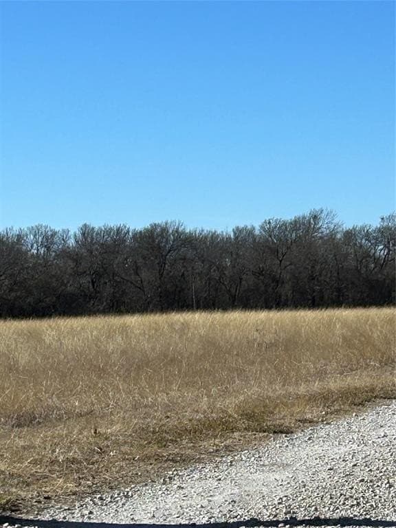 20.96 acres in Grayson County - photo 4
