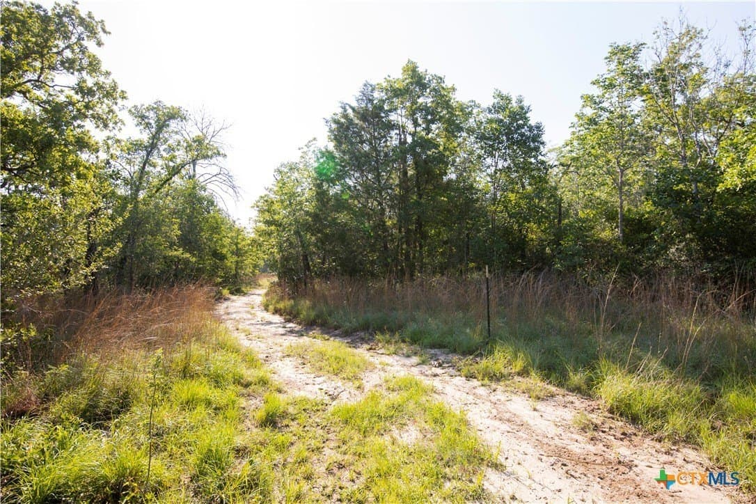 10.01 acres in Milam County - photo 23