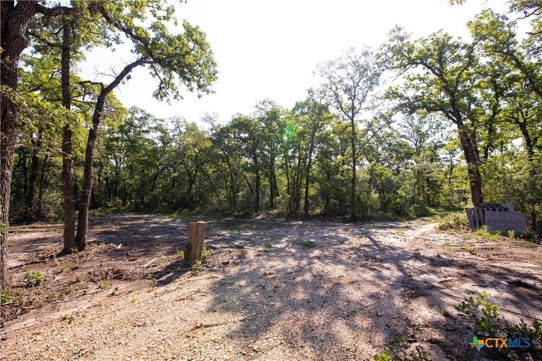 10.01 acres in Milam County - photo 5