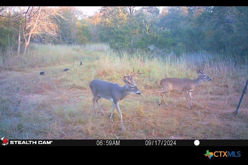 10.01 acres in Milam County - photo 11