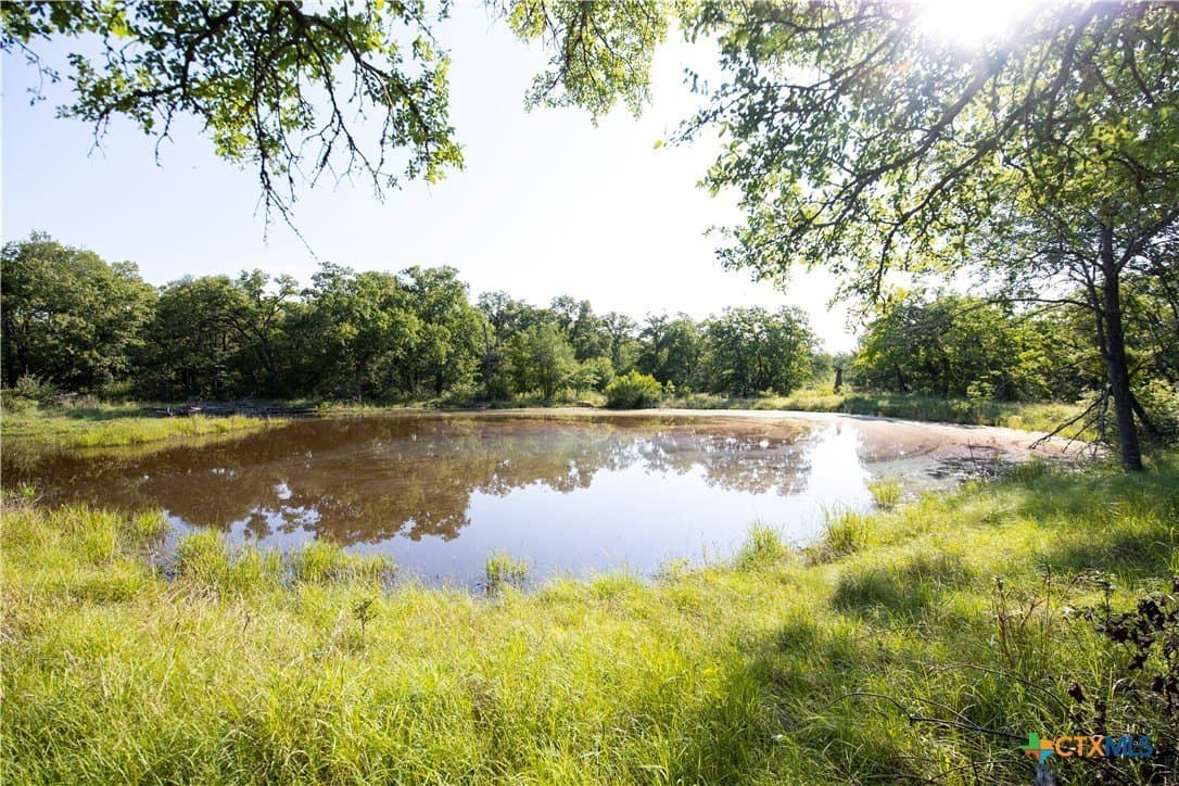 10.01 acres in Milam County - photo 6
