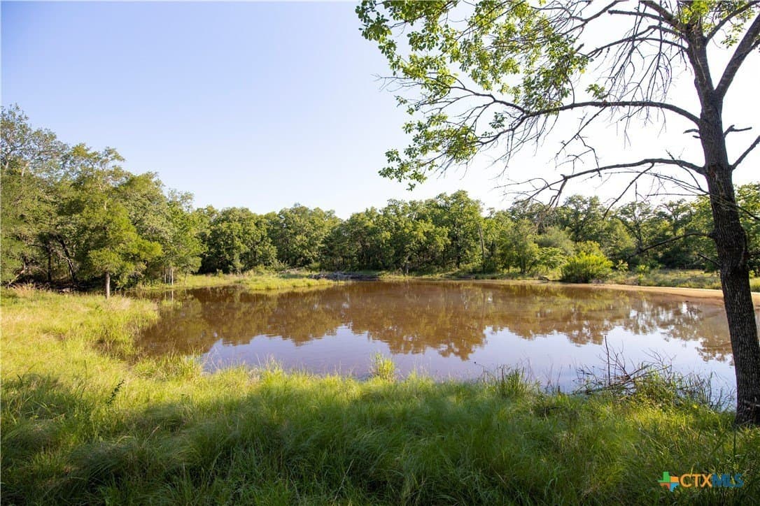 10.01 acres in Milam County - photo 7