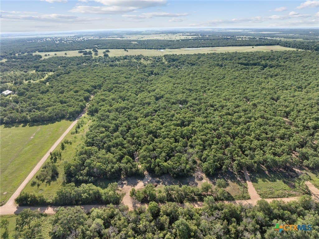 10.01 acres in Milam County - photo 16