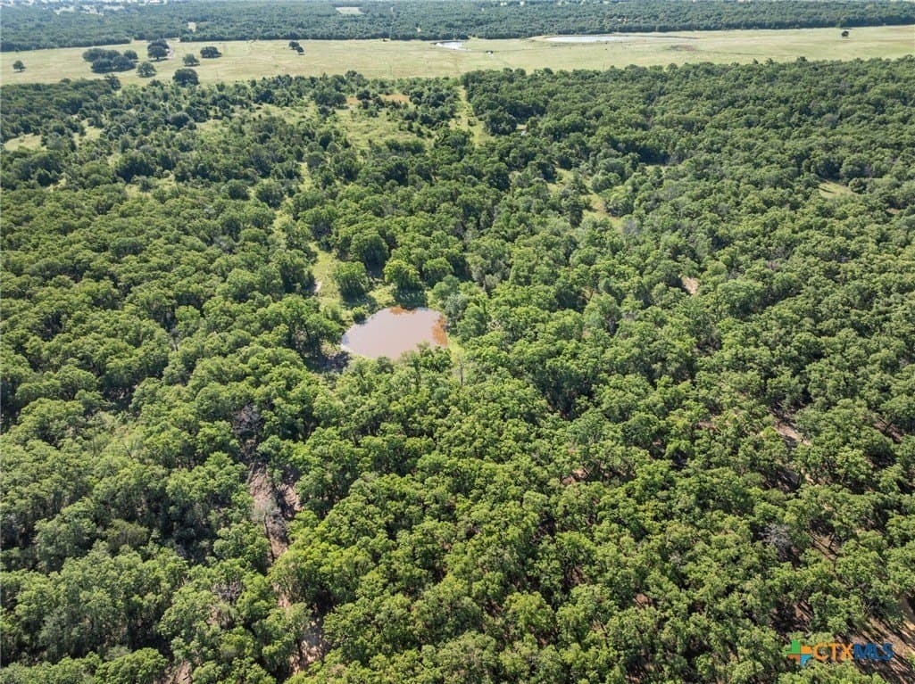 10.01 acres in Milam County - photo 10