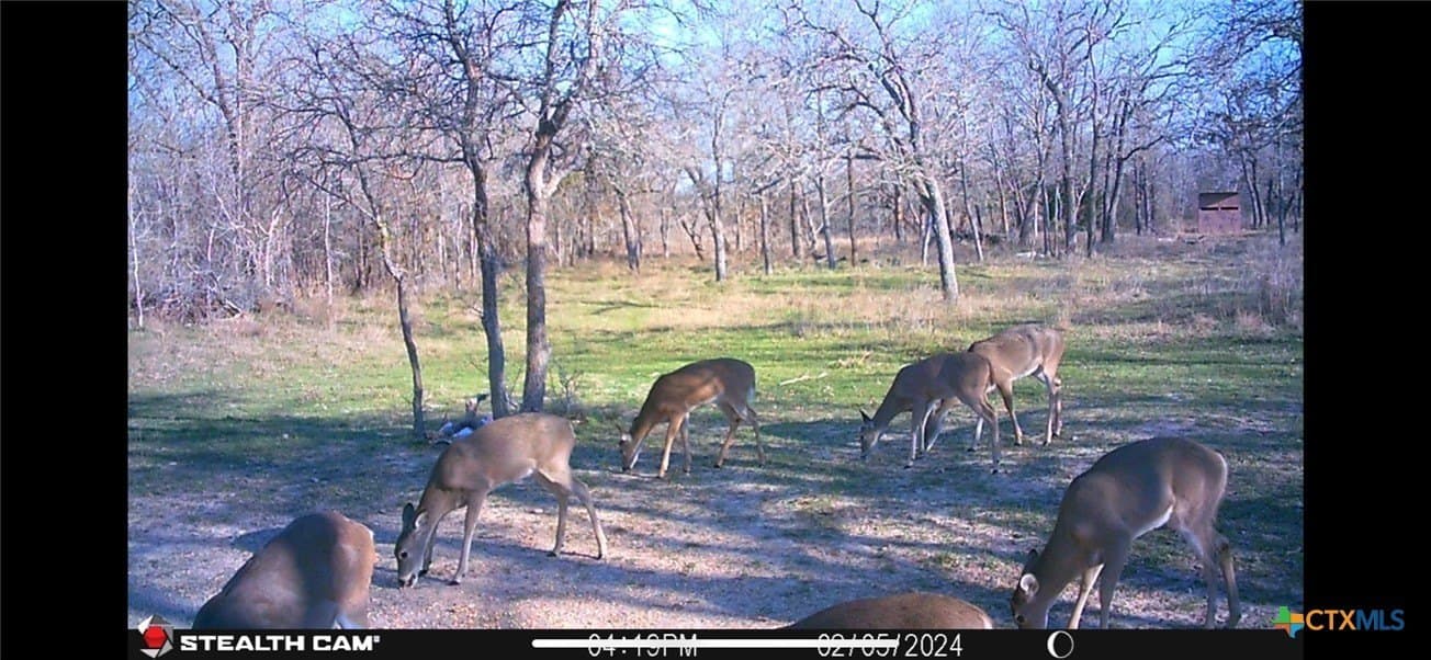 10.01 acres in Milam County - photo 12