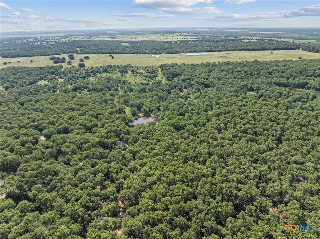 10.01 acres in Milam County - photo 4