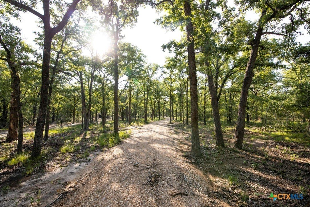 10.01 acres in Milam County - photo 8
