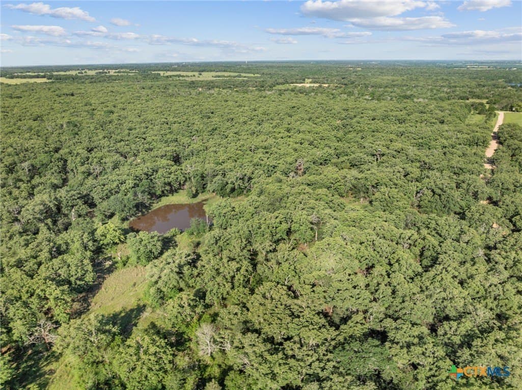 10.01 acres in Milam County - photo 17