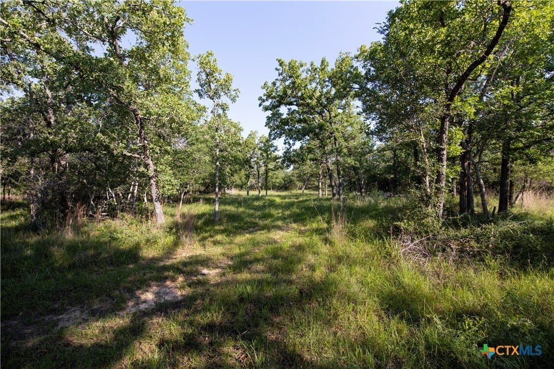 10.01 acres in Milam County - photo 24