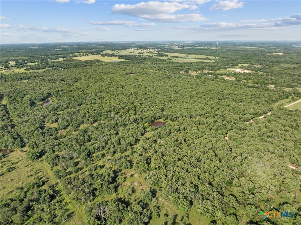 10.01 acres in Milam County - photo 18