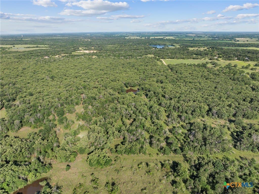 10.01 acres in Milam County - photo 9