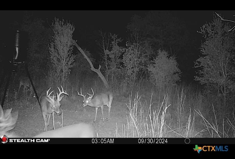 10.01 acres in Milam County - photo 15