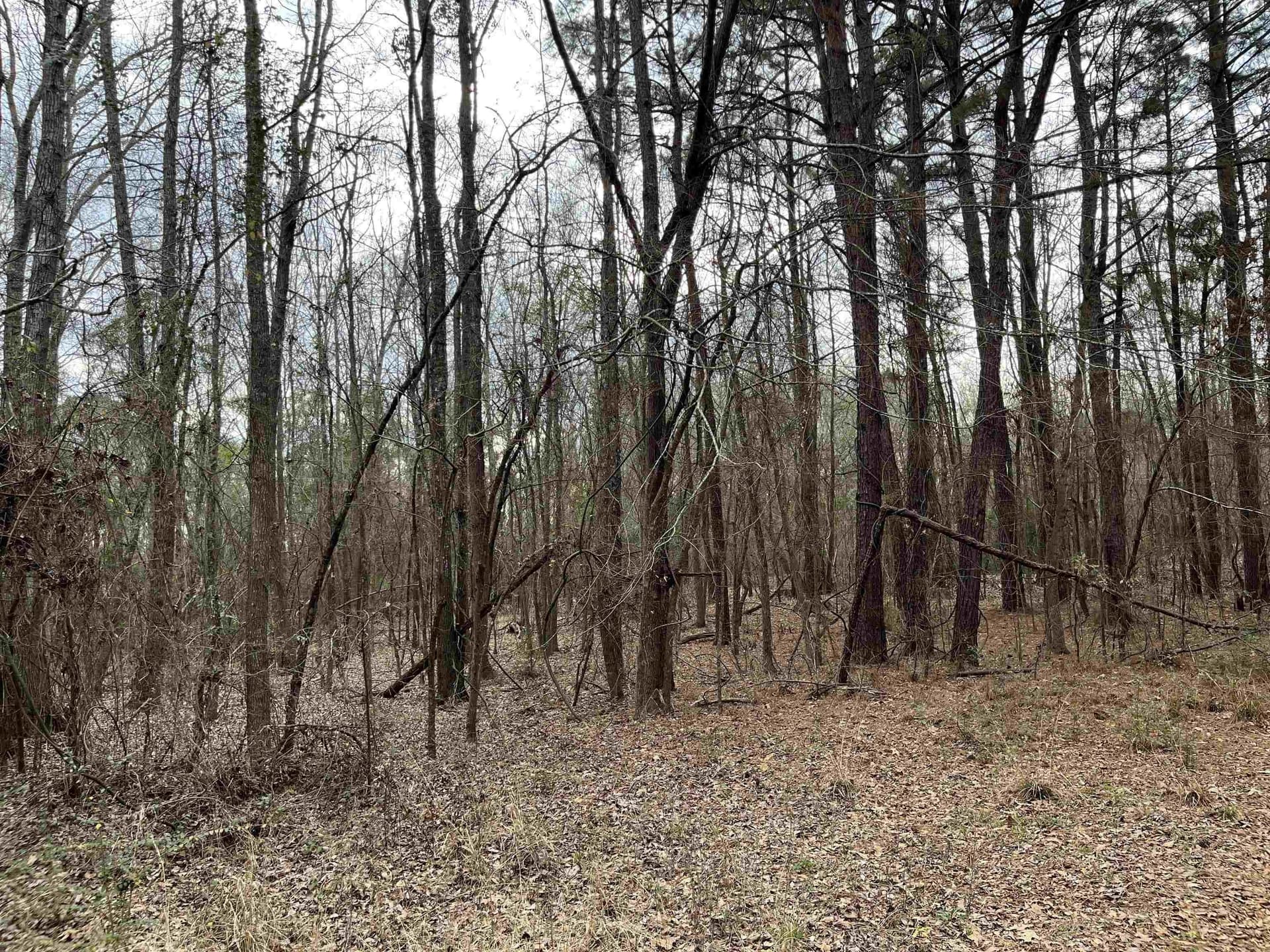Tract 1 Venus Rd