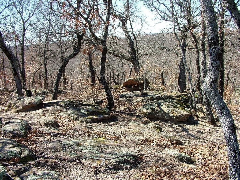 2.05 acres in Montague County - photo 4