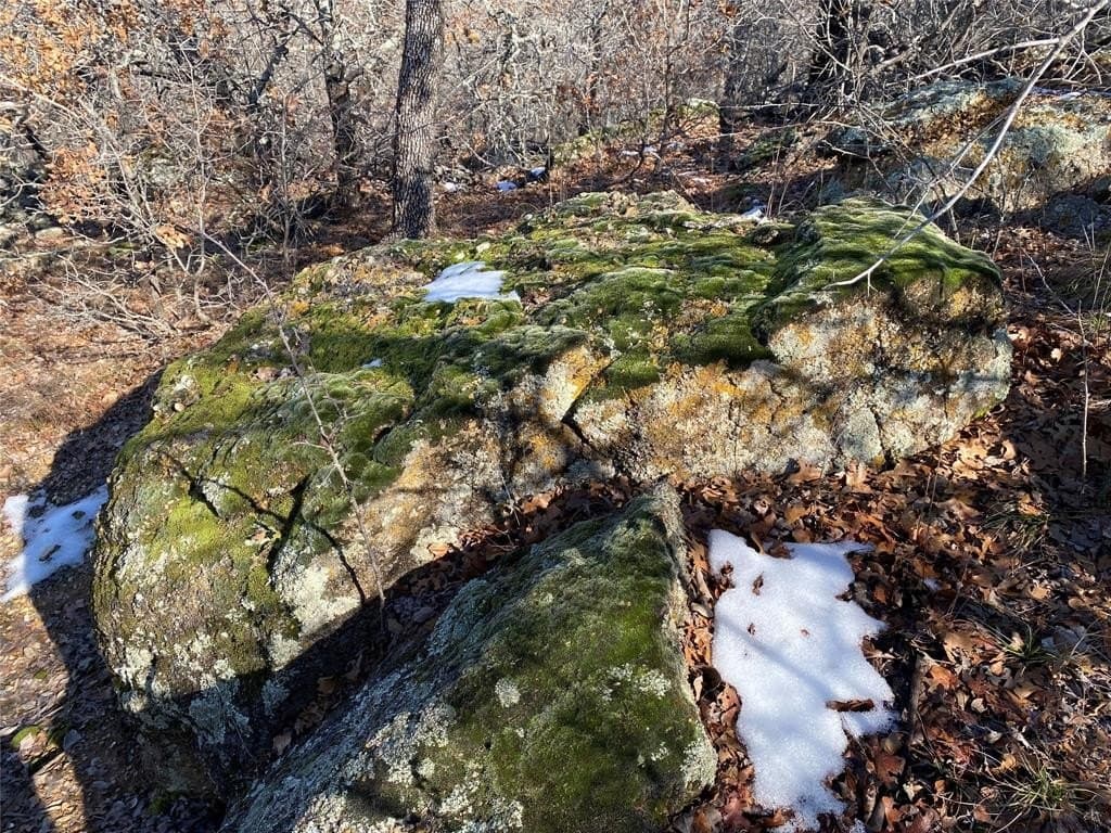 2.05 acres in Montague County - photo 11
