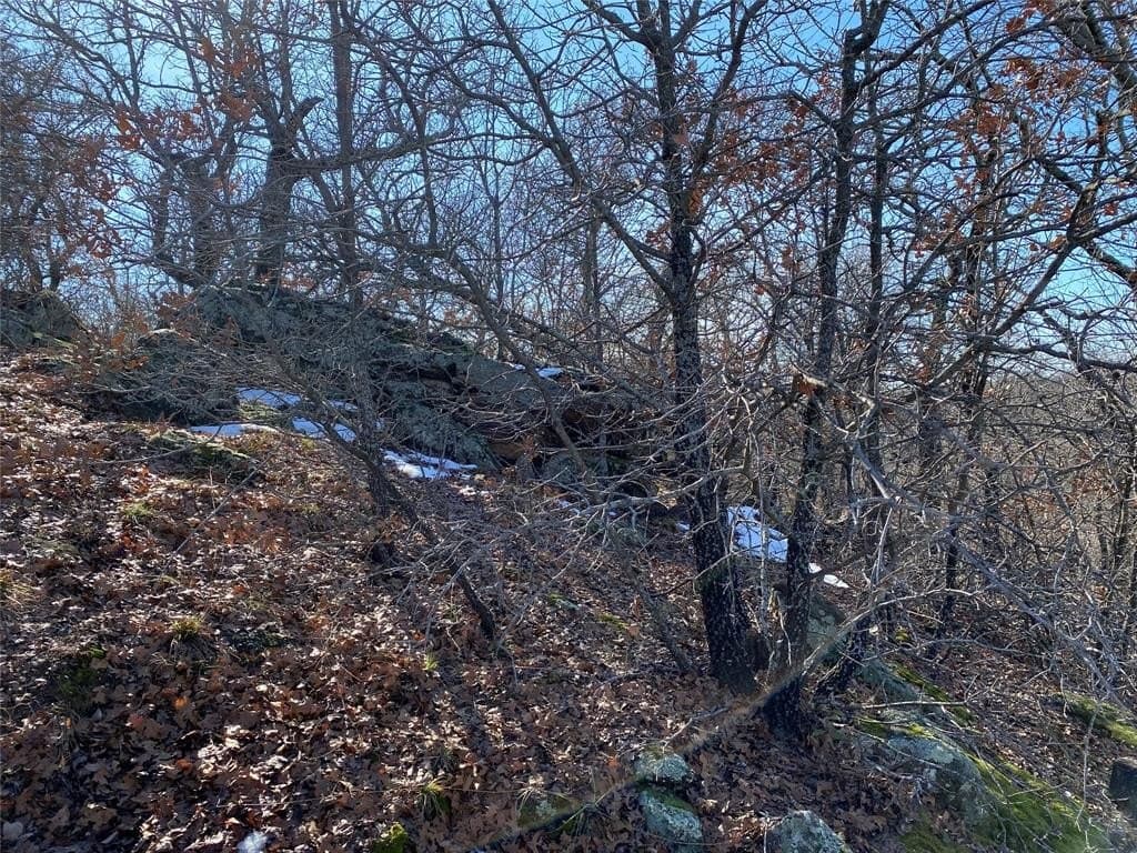 2.05 acres in Montague County - photo 9