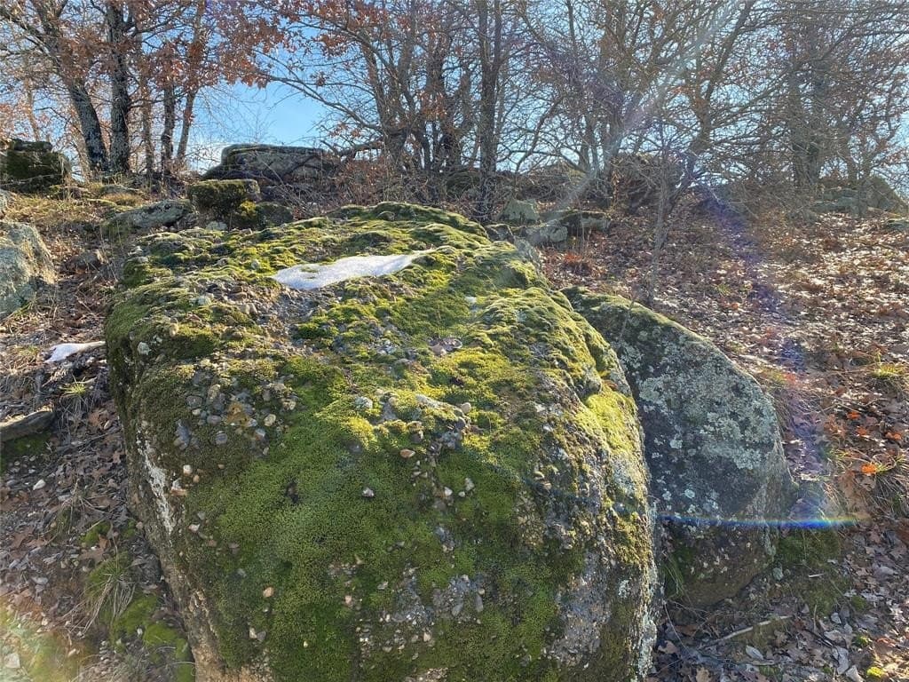 2.05 acres in Montague County - photo 10