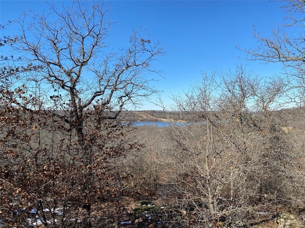 2.05 acres in Montague County - photo 8