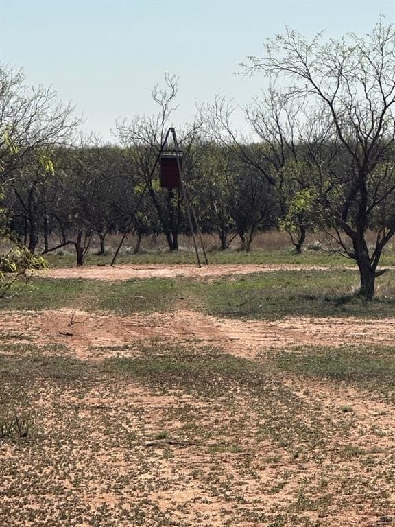 64.52 acres in Jones County - photo 16