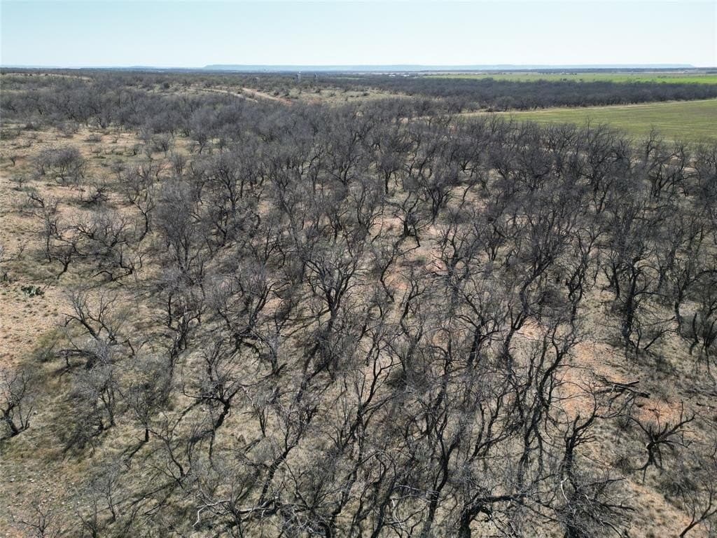 64.52 acres in Jones County - photo 28
