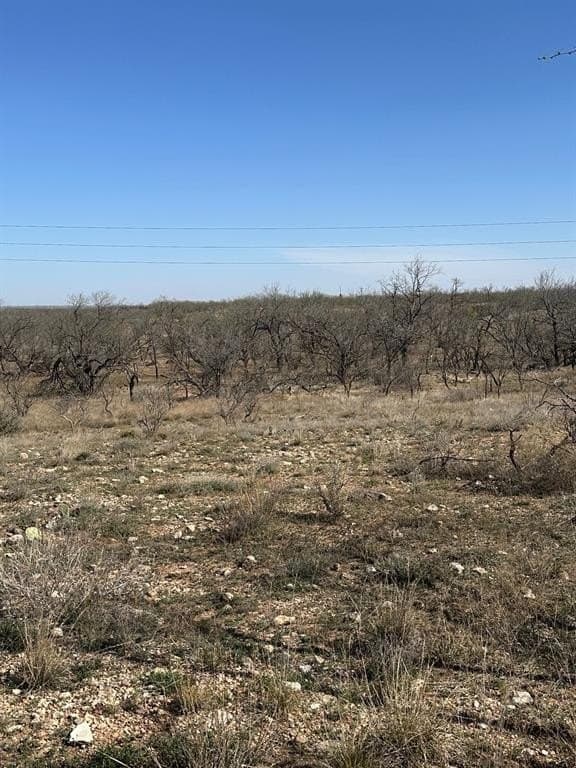 64.52 acres in Jones County - photo 8