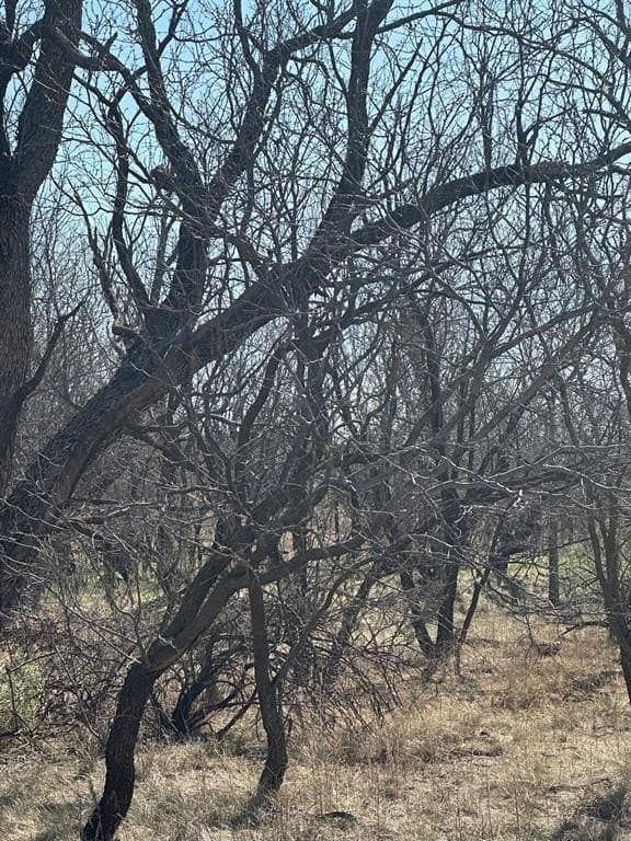 64.52 acres in Jones County - photo 5
