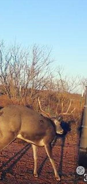 64.52 acres in Jones County - photo 19