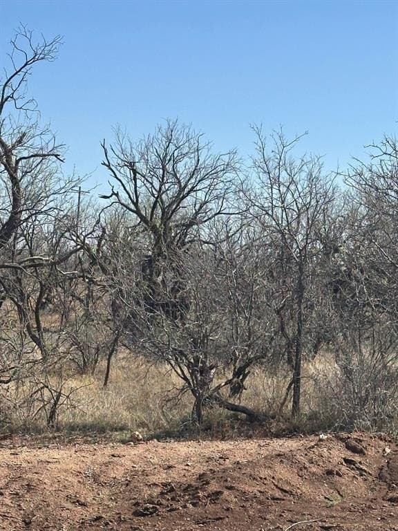 64.52 acres in Jones County - photo 6