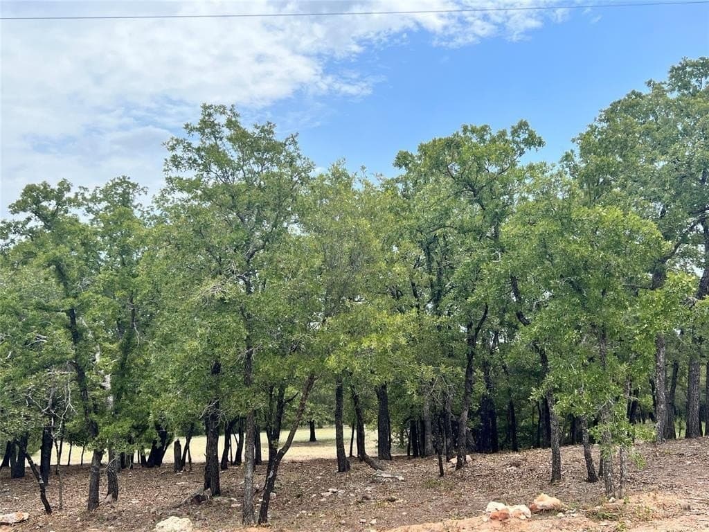 2.01 acres in Wise County - photo 4