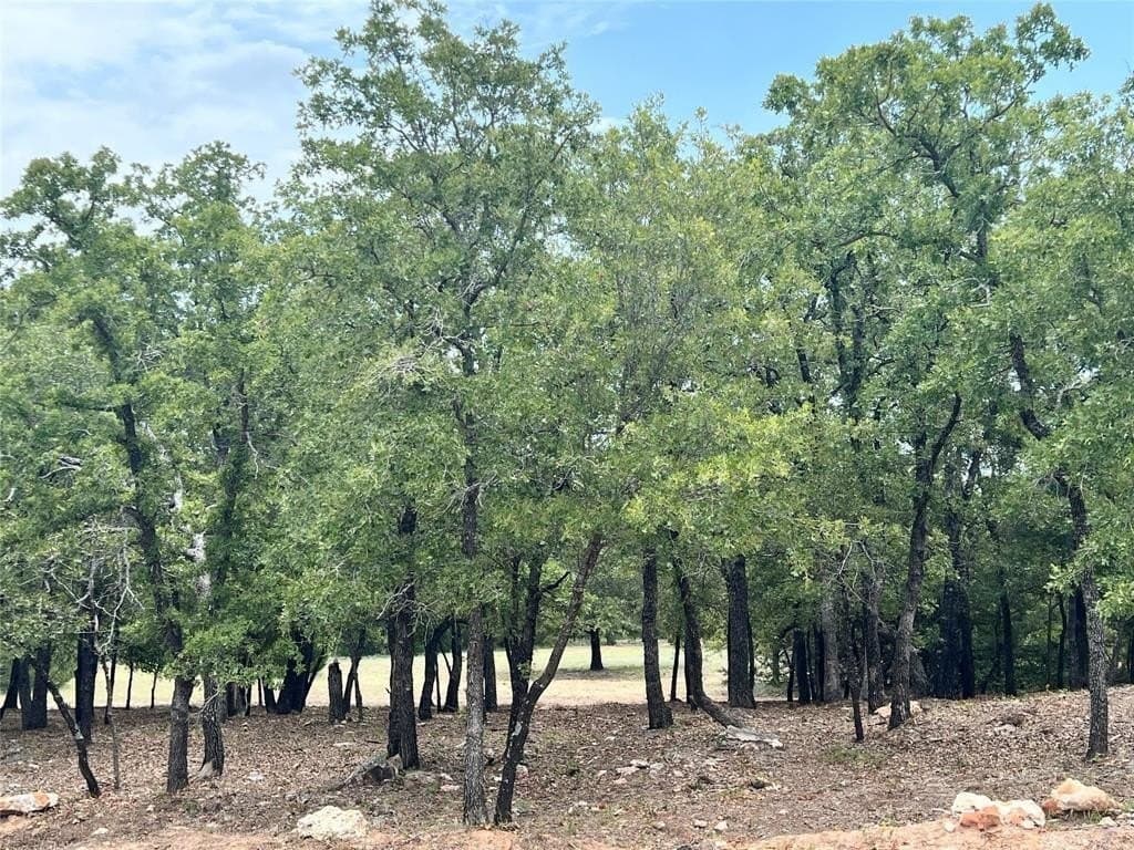 2.01 acres in Wise County - photo 3