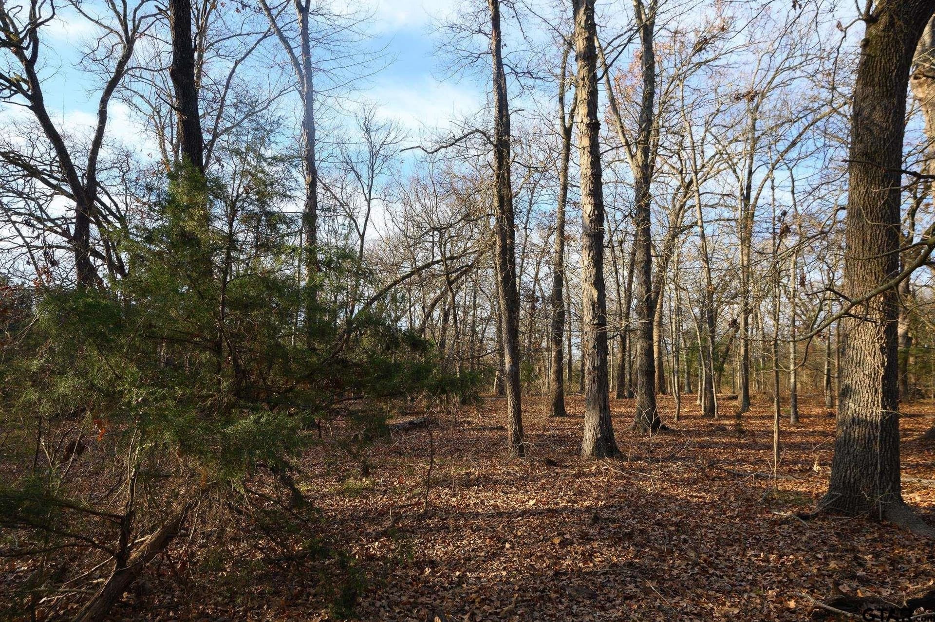 288 acres in Lamar County - photo 33