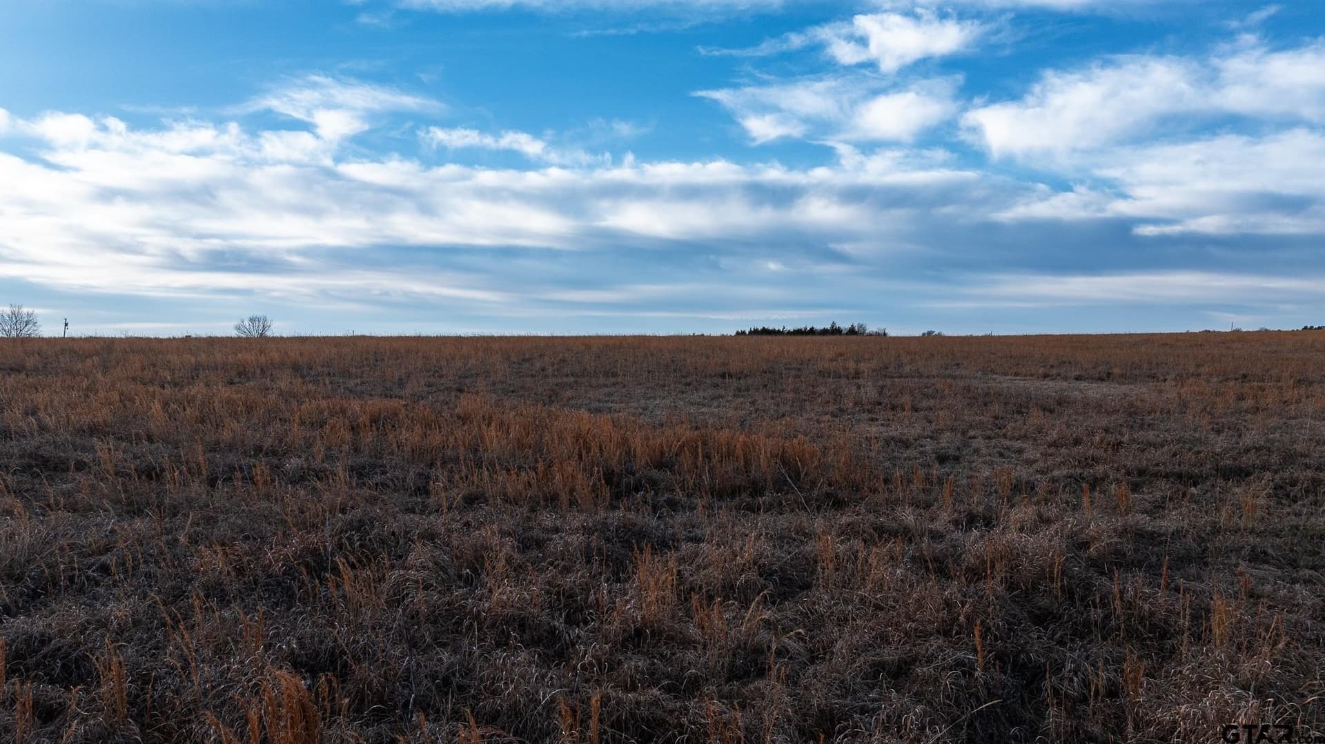 288 acres in Lamar County - photo 10