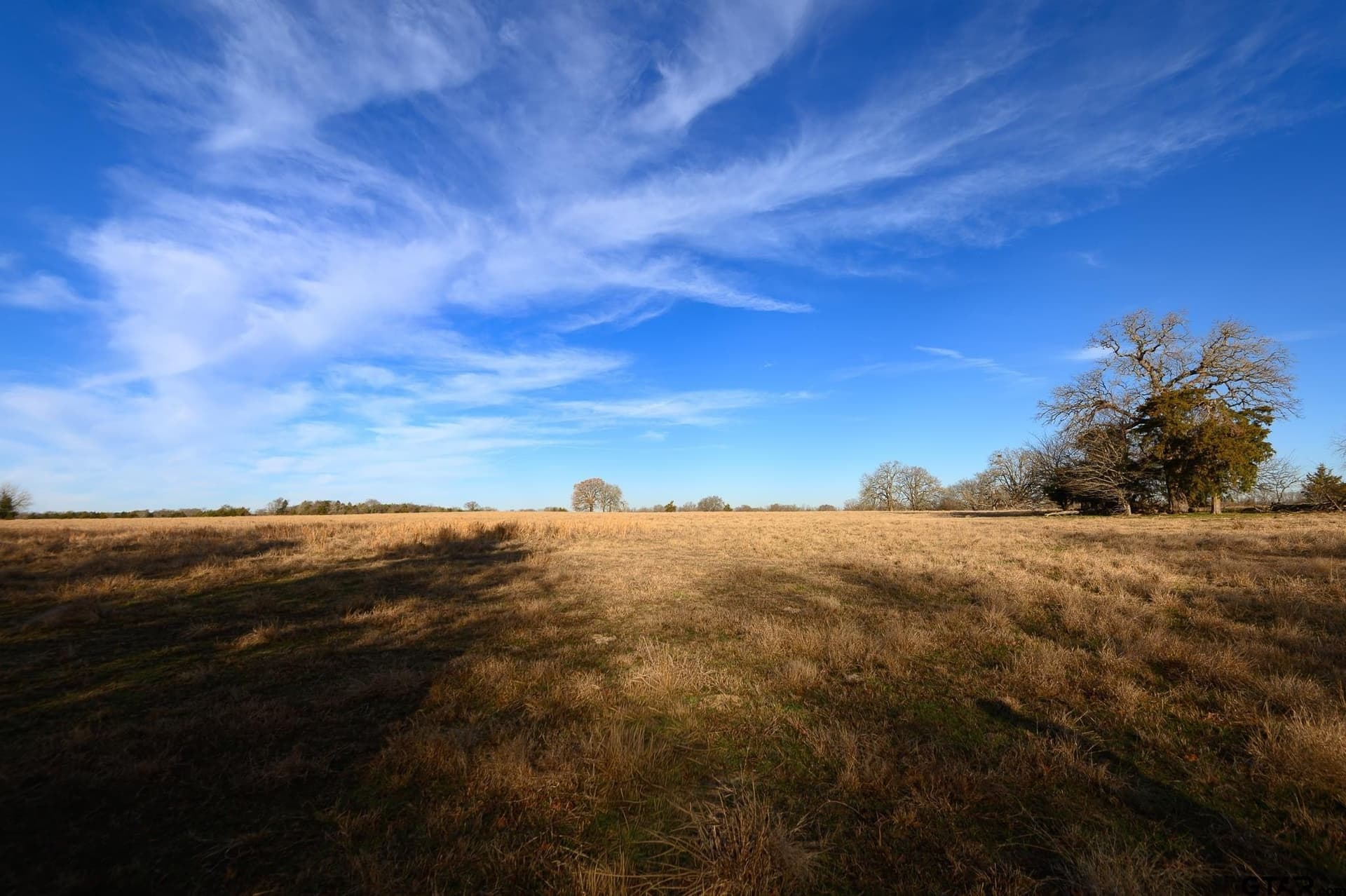 288 acres in Lamar County - photo 44