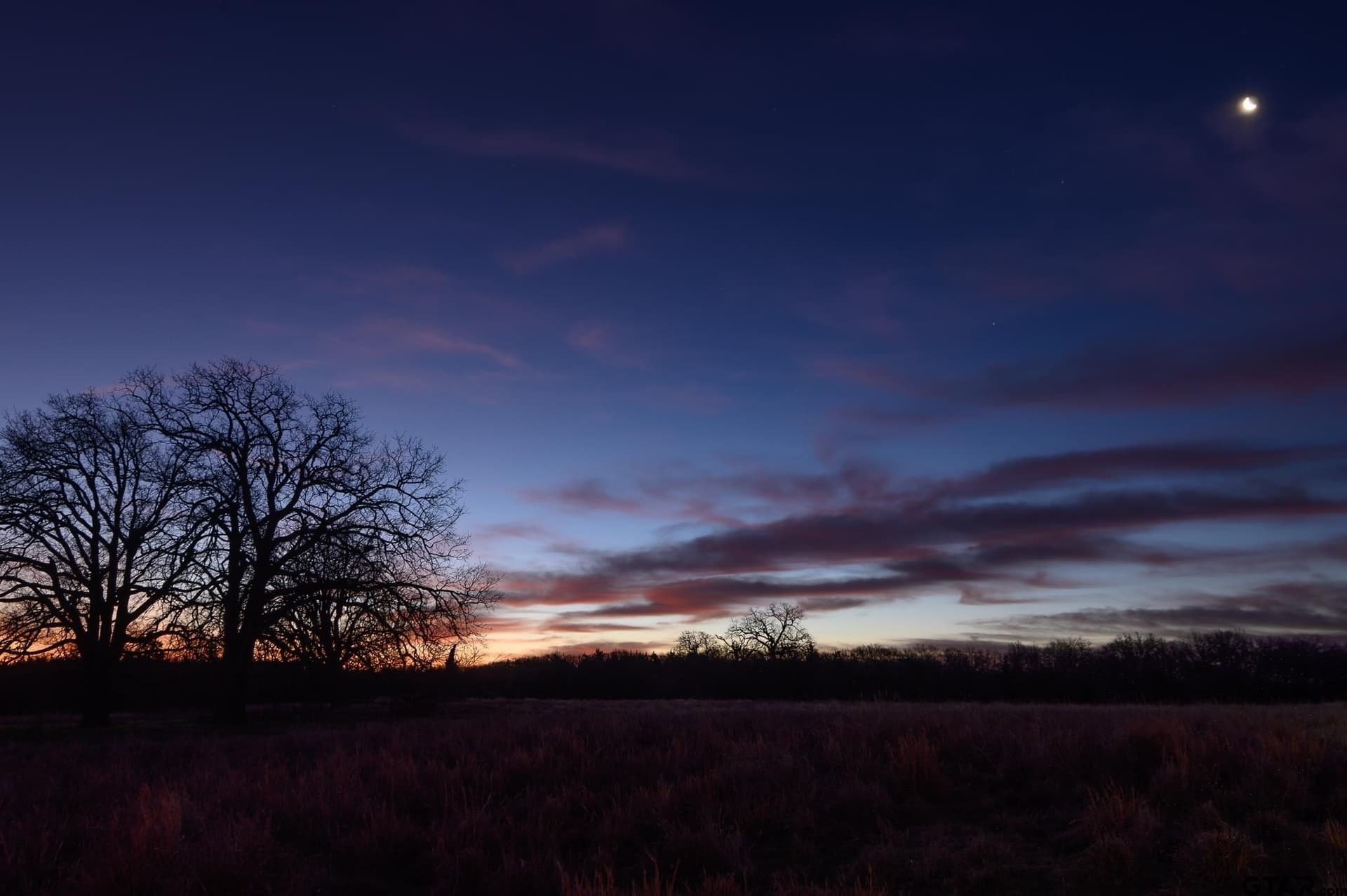 288 acres in Lamar County - photo 48