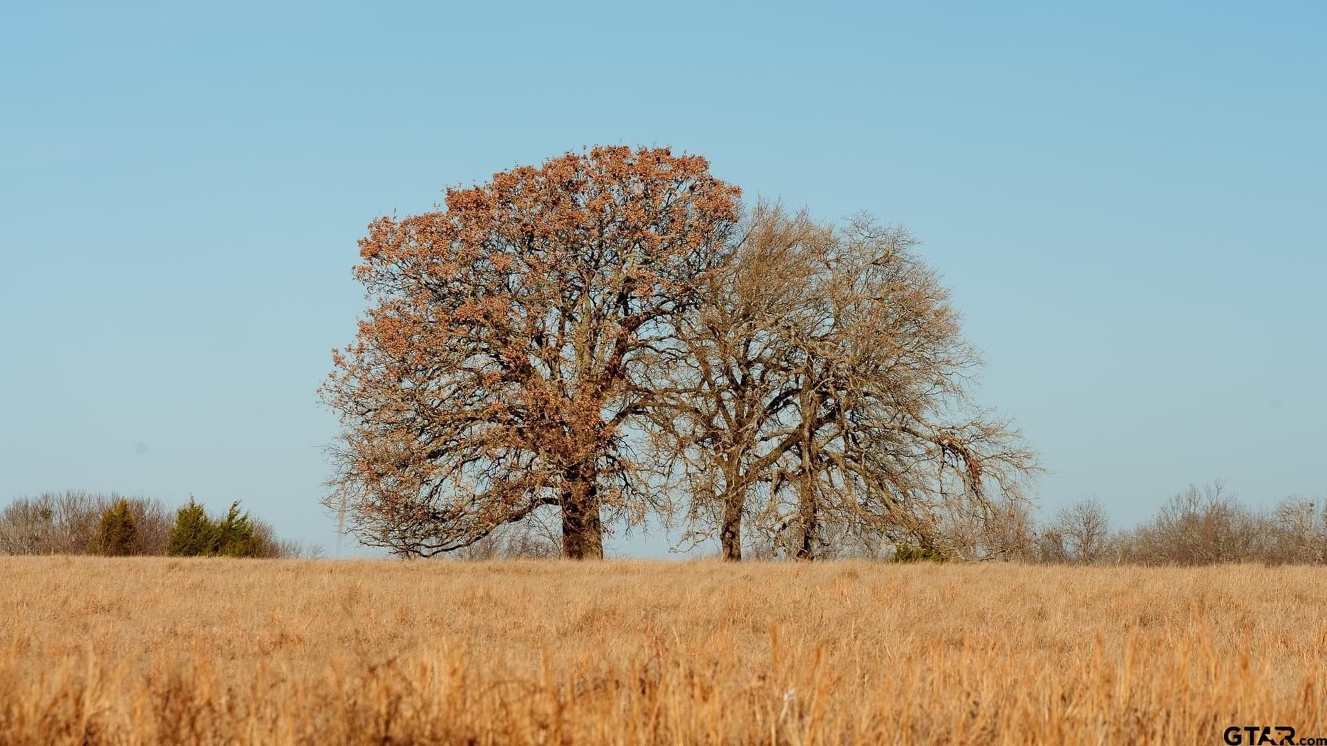 288 acres in Lamar County - photo 28
