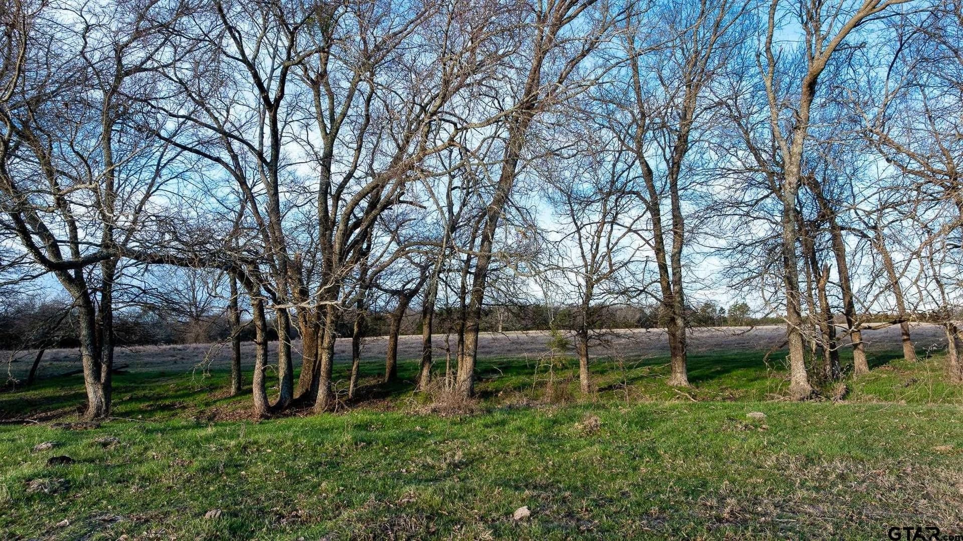 288 acres in Lamar County - photo 41