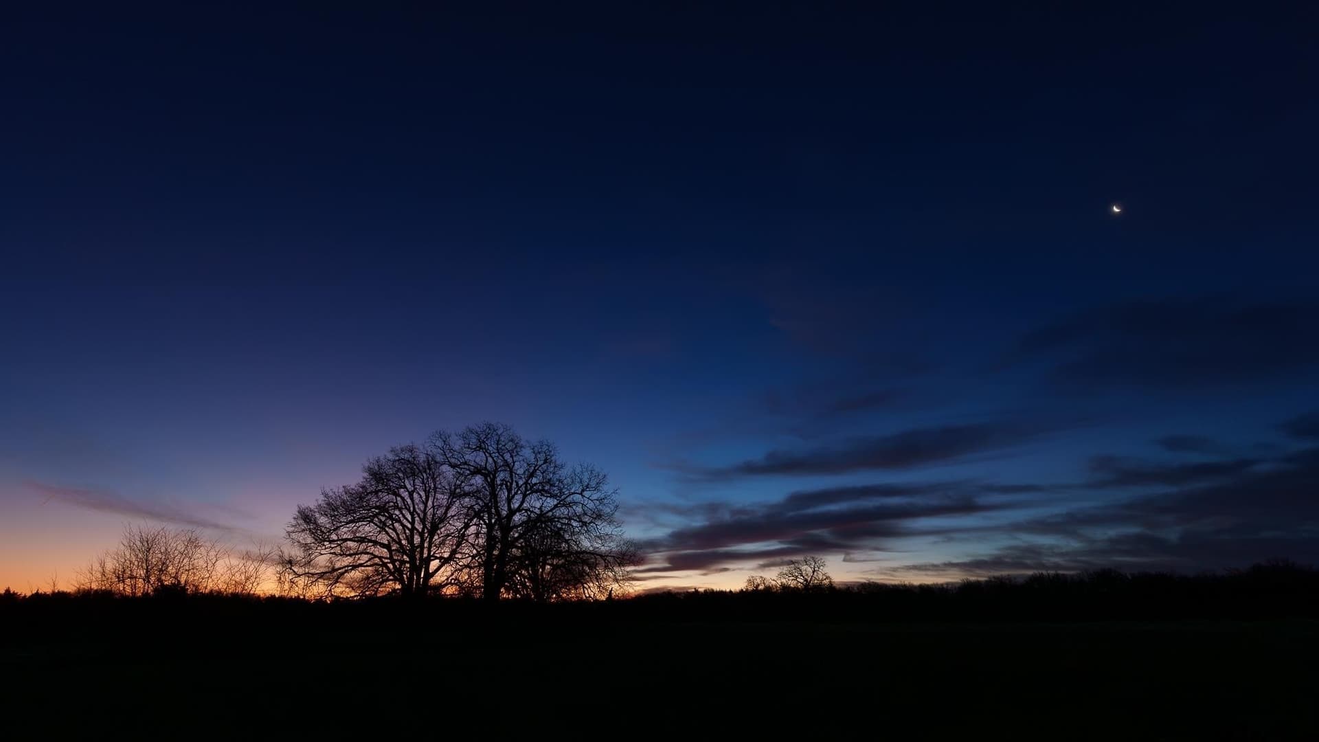 288 acres in Lamar County - photo 47