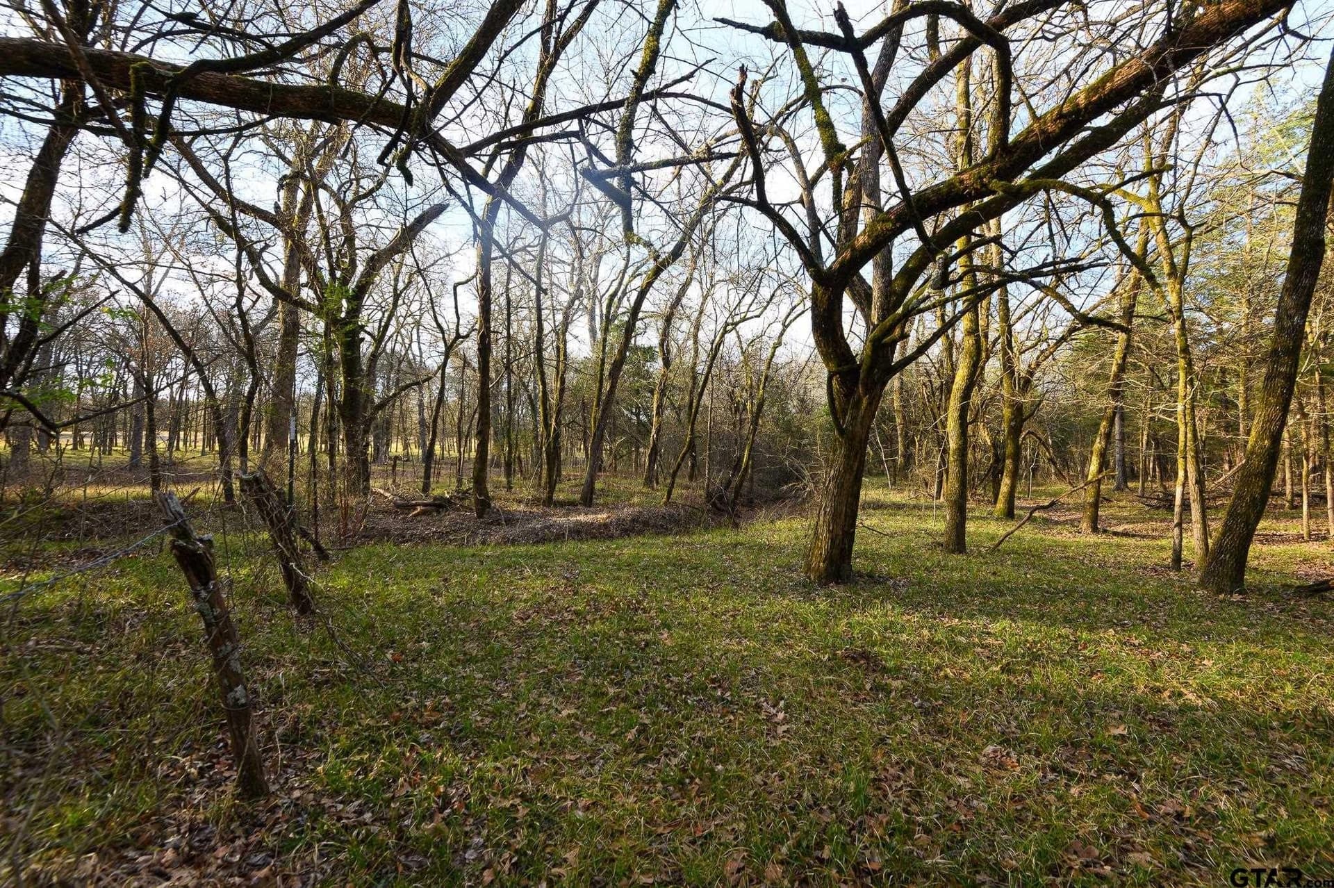 288 acres in Lamar County - photo 37