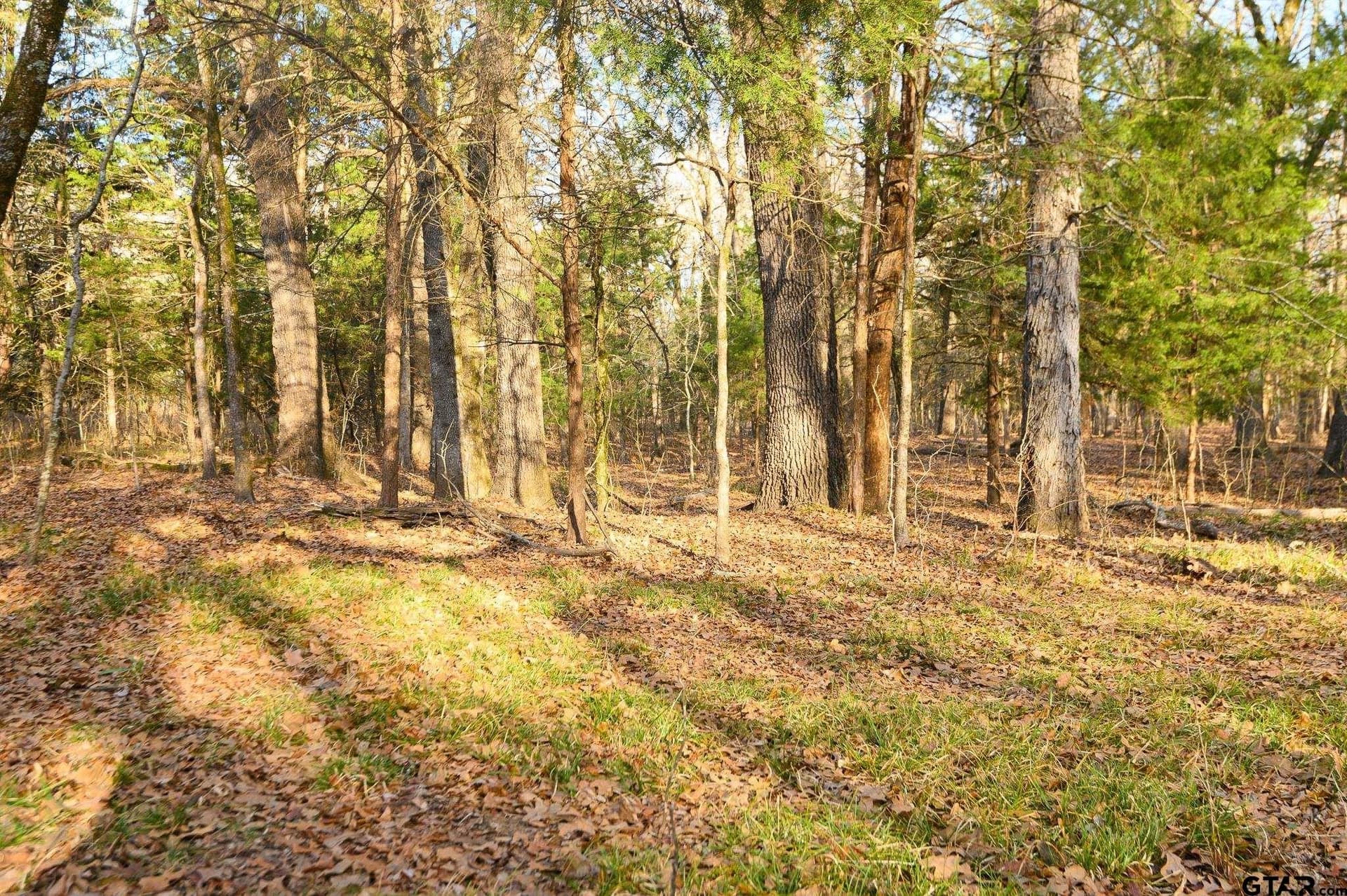 288 acres in Lamar County - photo 40