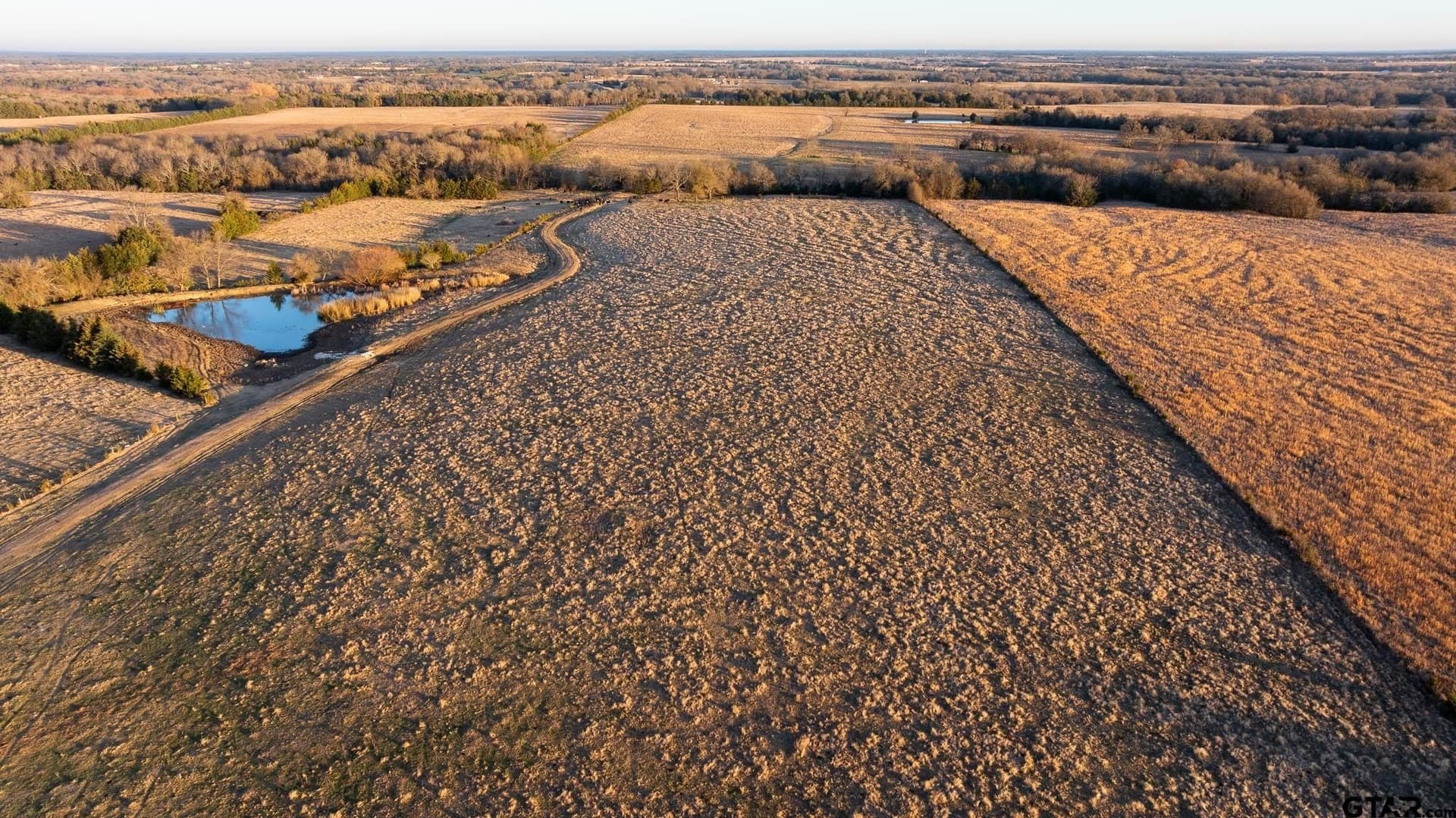 288 acres in Lamar County - photo 6
