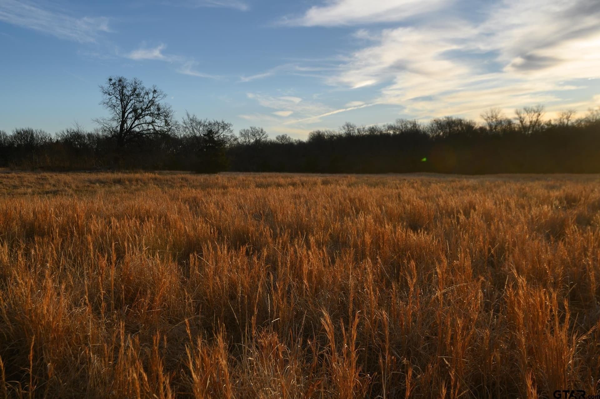 288 acres in Lamar County - photo 29