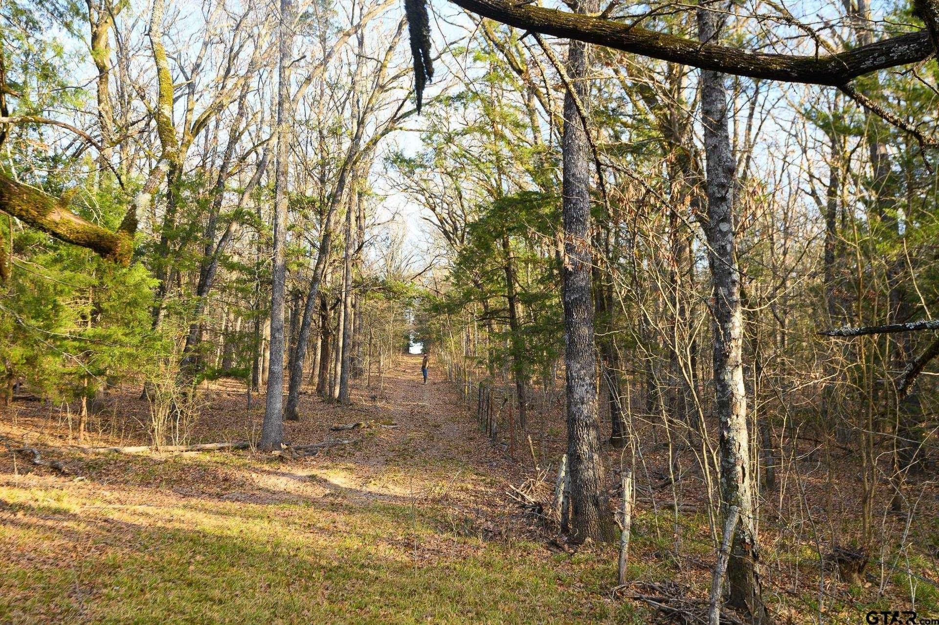 288 acres in Lamar County - photo 39