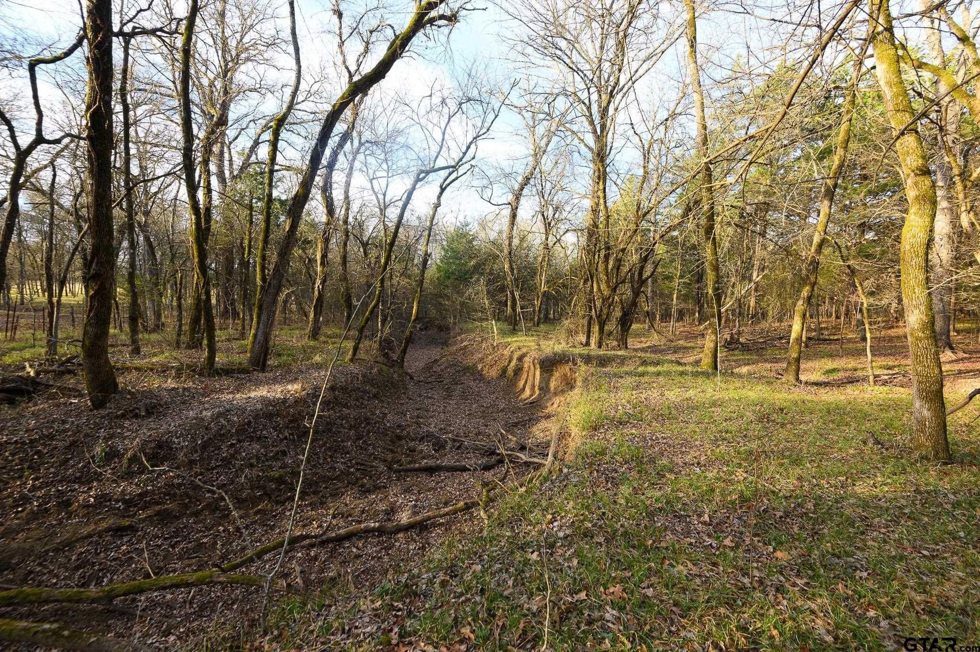 288 acres in Lamar County - photo 38