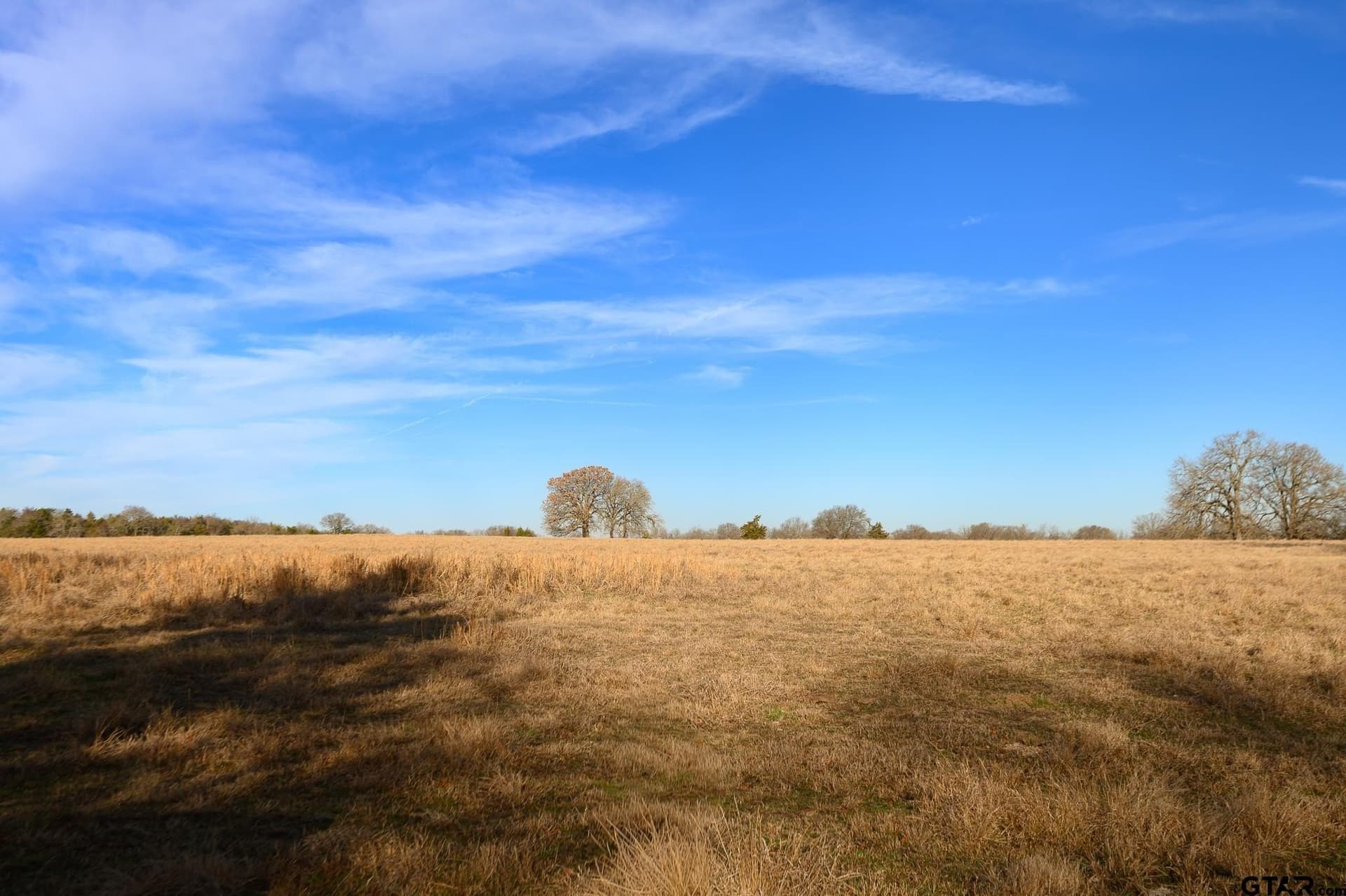 288 acres in Lamar County - photo 43