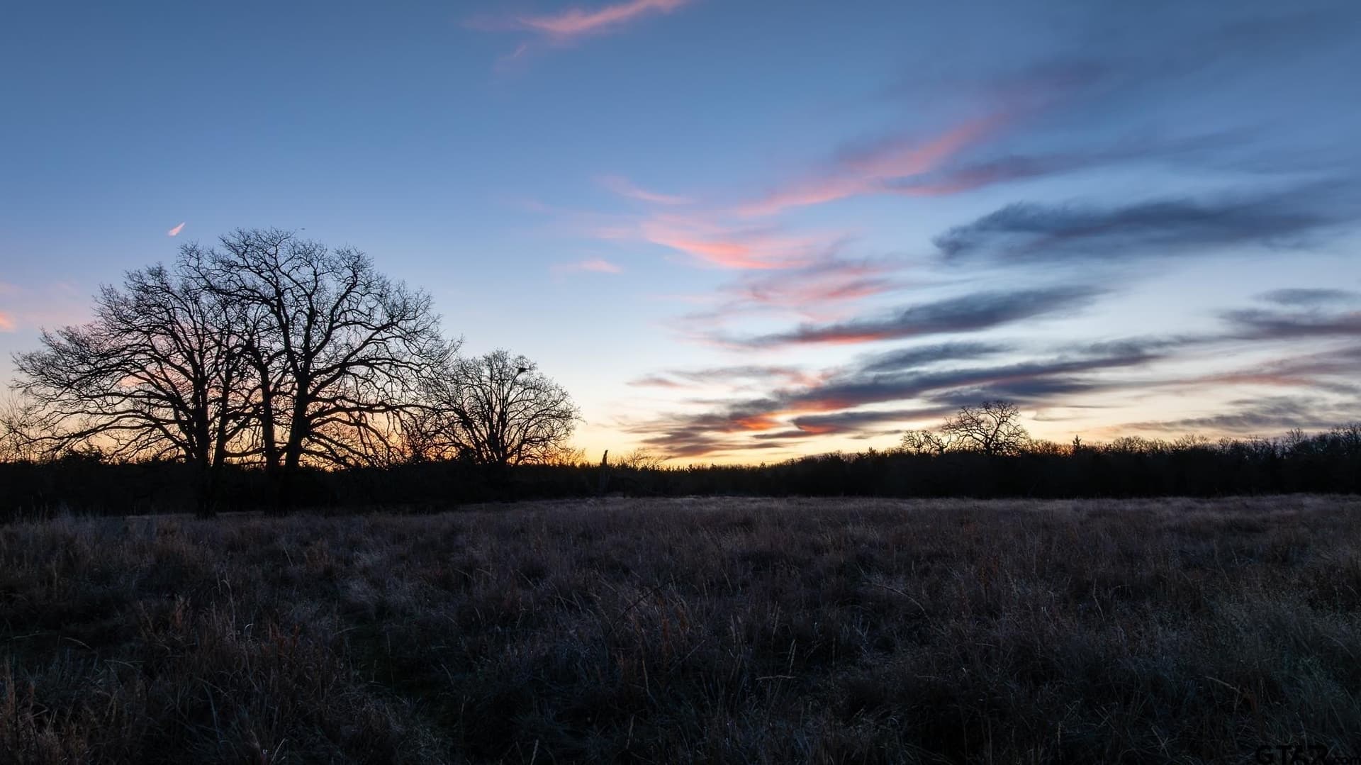 288 acres in Lamar County - photo 45