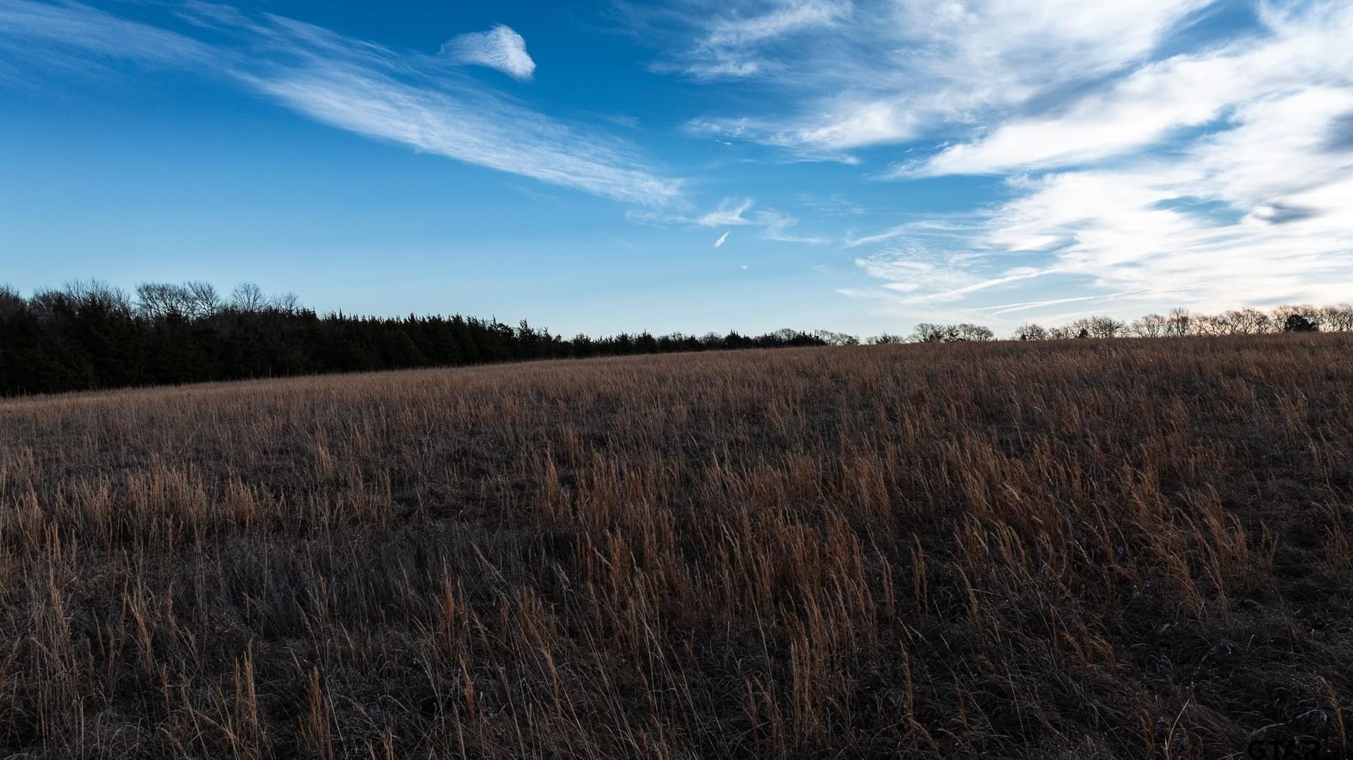 288 acres in Lamar County - photo 11